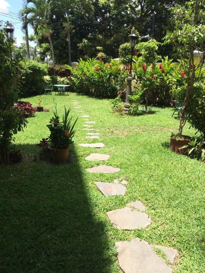 Petit Monblanc San Salvador Ngoại thất bức ảnh
