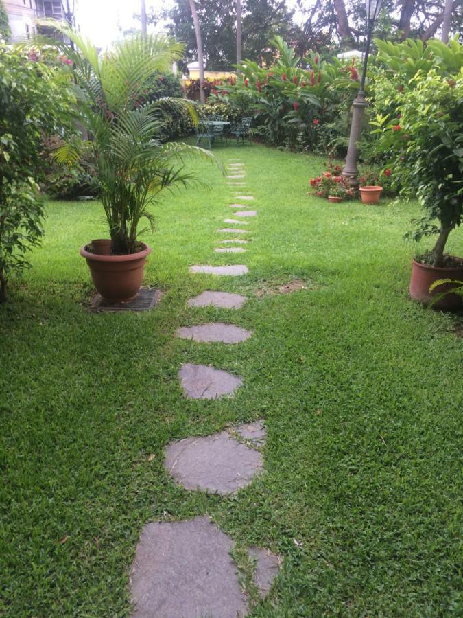 Petit Monblanc San Salvador Ngoại thất bức ảnh