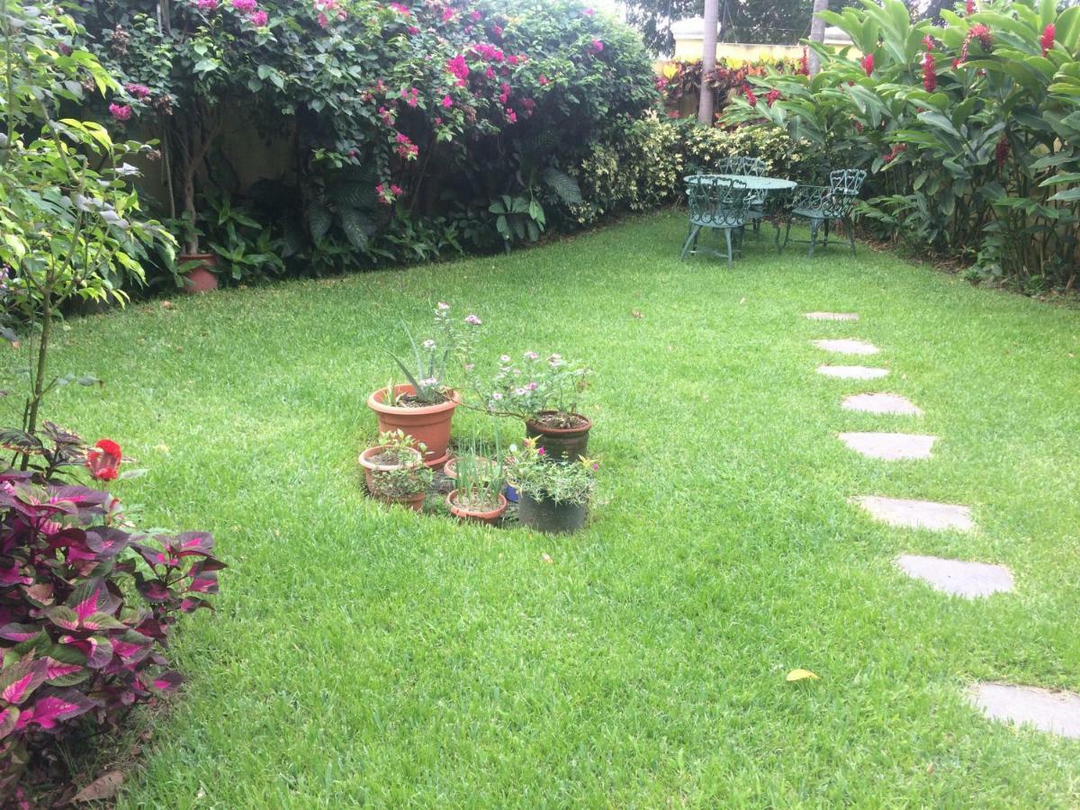 Petit Monblanc San Salvador Ngoại thất bức ảnh